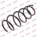 Coil Spring K-Flex RA3387 Kayaba