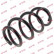 Coil Spring K-Flex RA3389 Kayaba