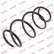Coil Spring K-Flex RA3394 Kayaba