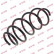 Coil Spring K-Flex RA3401 Kayaba