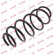 Coil Spring K-Flex RA3403 Kayaba