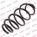 Coil Spring K-Flex RA3404 Kayaba