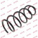 Coil Spring K-Flex RA3422 Kayaba