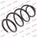 Coil Spring K-Flex RA3432 Kayaba