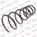 Coil Spring K-Flex RA3433 Kayaba