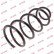 Coil Spring K-Flex RA3443 Kayaba