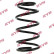Coil Spring K-Flex RA3446 Kayaba