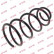 Coil Spring K-Flex RA3447 Kayaba