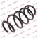 Coil Spring K-Flex RA3450 Kayaba