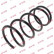 Coil Spring K-Flex RA3456 Kayaba