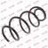 Coil Spring K-Flex RA3458 Kayaba