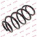Coil Spring K-Flex RA3473 Kayaba
