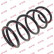 Coil Spring K-Flex RA3476 Kayaba