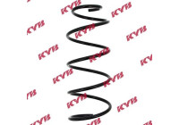 Coil Spring K-Flex RA3481 Kayaba