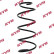 Coil Spring K-Flex RA3481 Kayaba