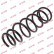 Coil Spring K-Flex RA3484 Kayaba