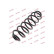 Coil Spring K-Flex RA3494 Kayaba