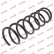 Coil Spring K-Flex RA3498 Kayaba