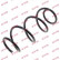 Coil Spring K-Flex RA3504 Kayaba