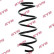 Coil Spring K-Flex RA3511 Kayaba