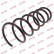 Coil Spring K-Flex RA3527 Kayaba