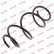 Coil Spring K-Flex RA3528 Kayaba