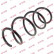 Coil Spring K-Flex RA3529 Kayaba