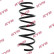 Coil Spring K-Flex RA3541 Kayaba