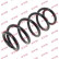 Coil Spring K-Flex RA3543 Kayaba