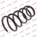 Coil Spring K-Flex RA3549 Kayaba