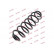 Coil Spring K-Flex RA3558 Kayaba