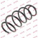 Coil Spring K-Flex RA3560 Kayaba