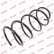 Coil Spring K-Flex RA3755 Kayaba