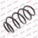 Coil Spring K-Flex RA3792 Kayaba