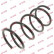 Coil Spring K-Flex RA3924 Kayaba