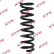 Coil Spring K-Flex RA3946 Kayaba, Thumbnail 2