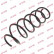 Coil Spring K-Flex RA3947 Kayaba