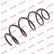 Coil Spring K-Flex RA3949 Kayaba