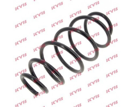Coil Spring K-Flex RA3976 Kayaba