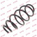 Coil Spring K-Flex RA3976 Kayaba
