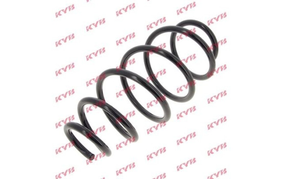 Coil Spring K-Flex RA3976 Kayaba