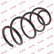 Coil Spring K-Flex RA3990 Kayaba