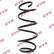 Coil Spring K-Flex RA4014 Kayaba