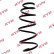 Coil Spring K-Flex RA4036 Kayaba