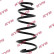 Coil Spring K-Flex RA4039 Kayaba
