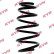 Coil Spring K-Flex RA4044 Kayaba