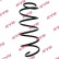 Coil Spring K-Flex RA4051 Kayaba