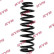 Coil Spring K-Flex RA4058 Kayaba
