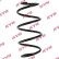 Coil Spring K-Flex RA4069 Kayaba
