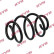Coil Spring K-Flex RA4074 Kayaba